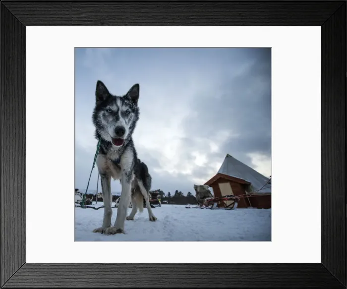 Framed Print : Picture No. 11675712 Framed Print : Picture No. 11675712
