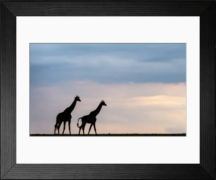 Framed Print : Picture No. 11675719 Framed Print : Picture No. 11675719