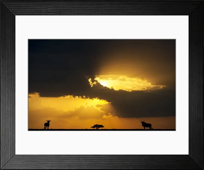 Framed Print : Picture No. 11675722 Framed Print : Picture No. 11675722