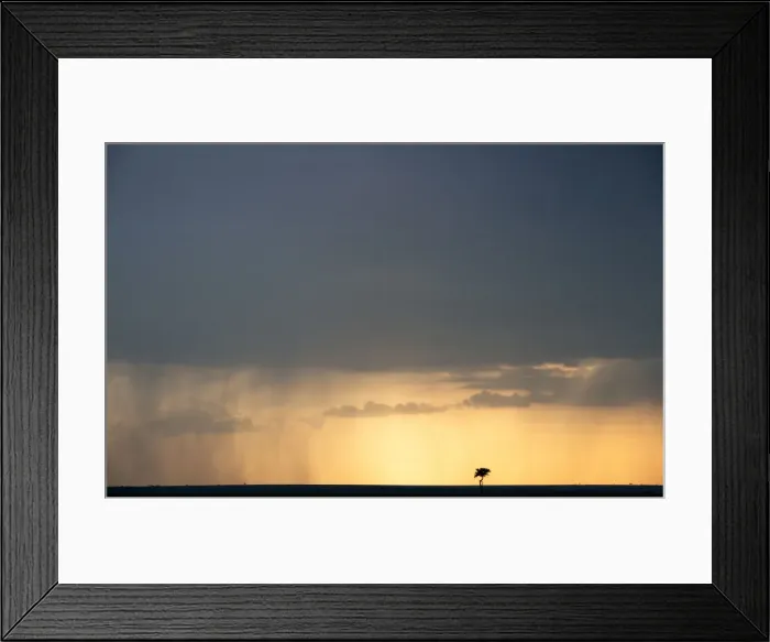 Framed Print : Picture No. 11675723 Framed Print : Picture No. 11675723