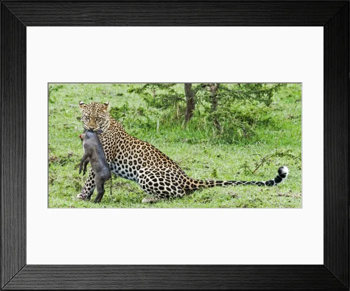 Framed Print : Picture No. 11675731 Framed Print : Picture No. 11675731