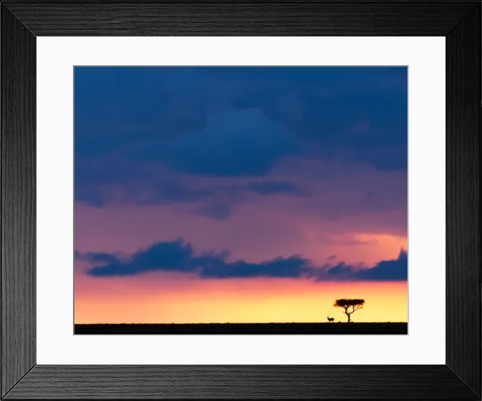 Framed Print : Picture No. 11675733 Framed Print : Picture No. 11675733