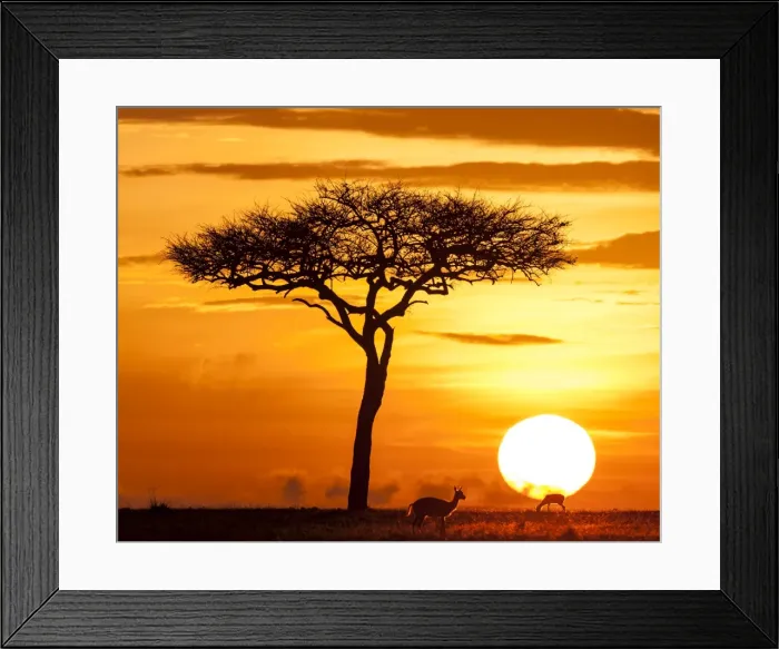 Framed Print : Picture No. 11675737 Framed Print : Picture No. 11675737
