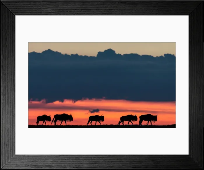 Framed Print : Picture No. 11675738 Framed Print : Picture No. 11675738