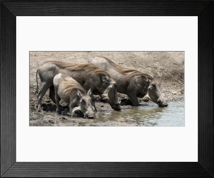 Framed Print : Picture No. 11675743 Framed Print : Picture No. 11675743
