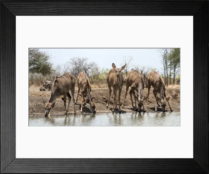Framed Print : Picture No. 11675742 Framed Print : Picture No. 11675742