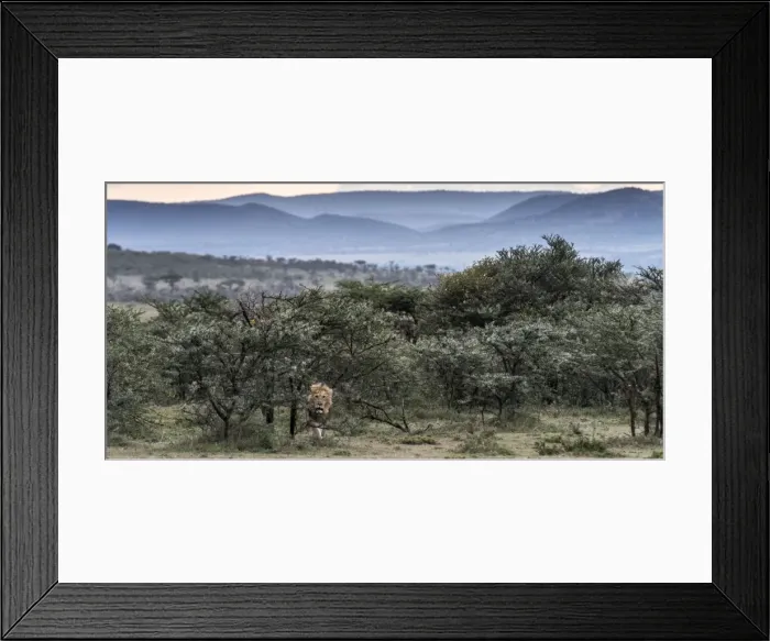 Framed Print : Picture No. 11675744 Framed Print : Picture No. 11675744