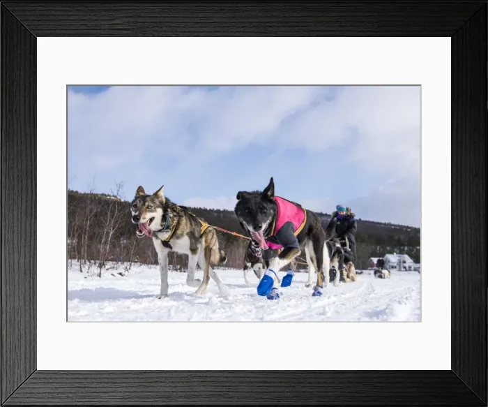 Framed Print : Picture No. 11675751 Framed Print : Picture No. 11675751