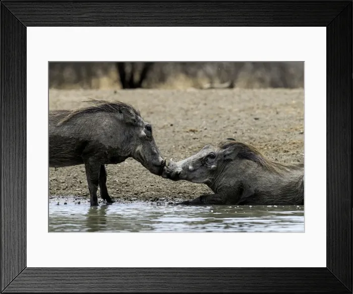 Framed Print : Picture No. 11675754 Framed Print : Picture No. 11675754