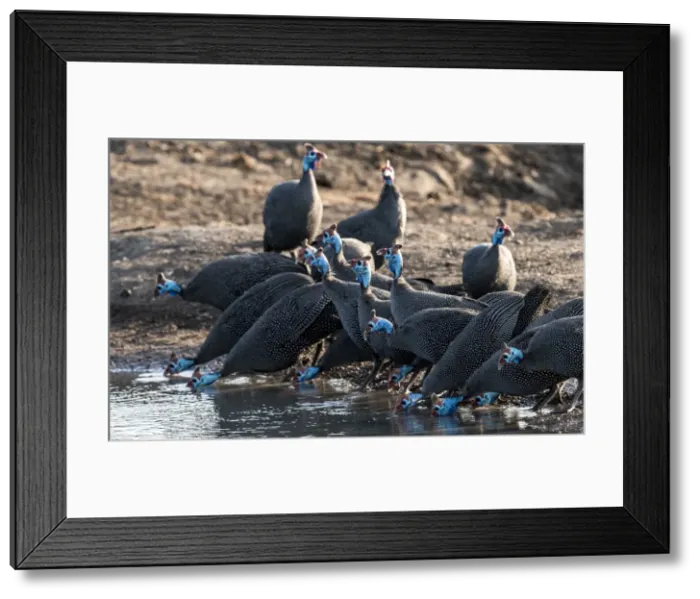 Framed Print : Picture No. 11675757 Framed Print : Picture No. 11675757