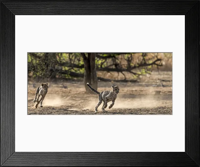 Framed Print : Picture No. 11675759 Framed Print : Picture No. 11675759