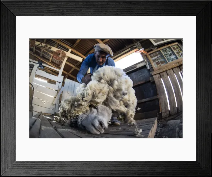 Framed Print : Picture No. 11675760 Framed Print : Picture No. 11675760