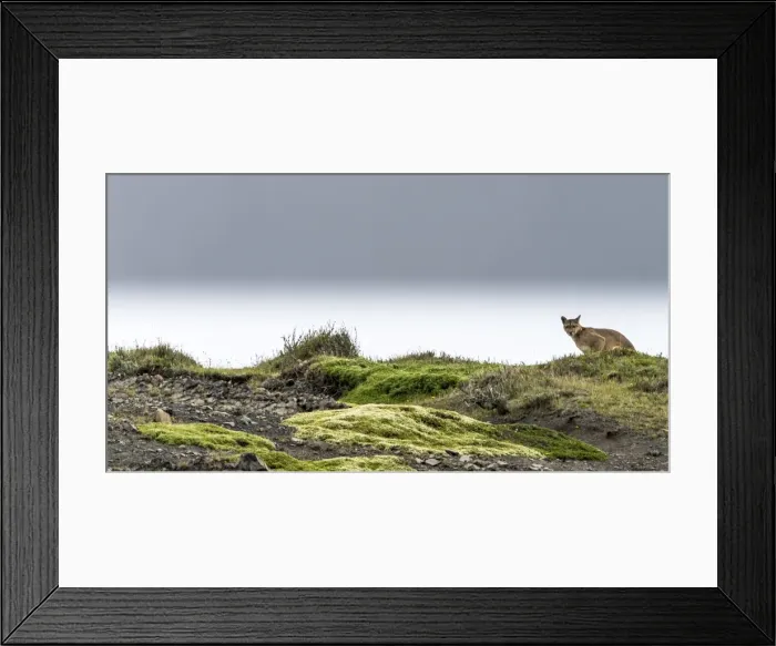 Framed Print : Picture No. 11675764 Framed Print : Picture No. 11675764