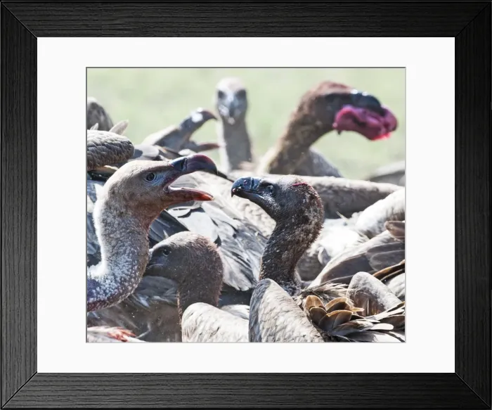 Framed Print : Picture No. 11675779 Framed Print : Picture No. 11675779