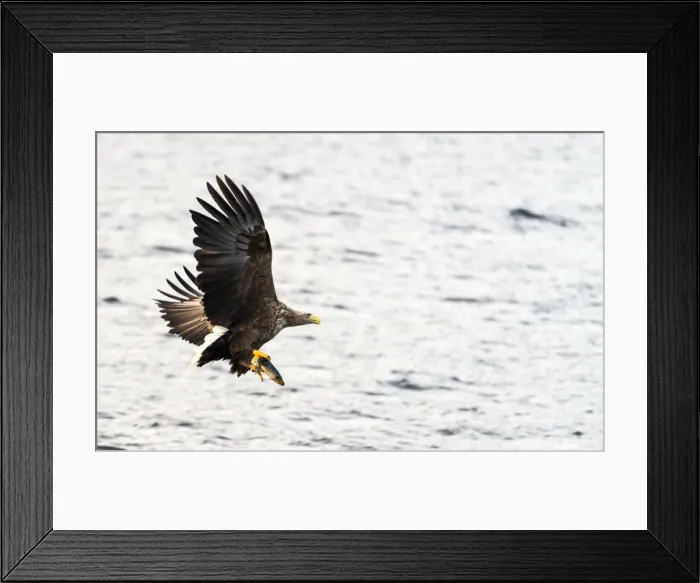 Framed Print : Picture No. 11675784 Framed Print : Picture No. 11675784