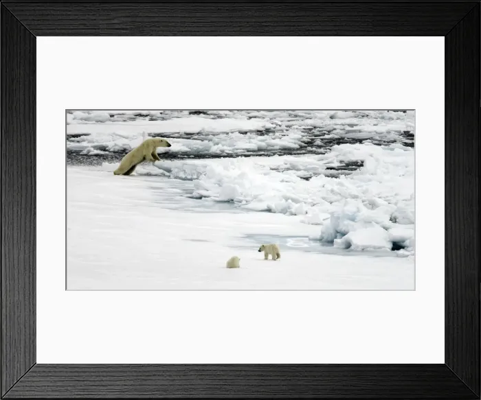 Framed Print : Picture No. 11675798 Framed Print : Picture No. 11675798