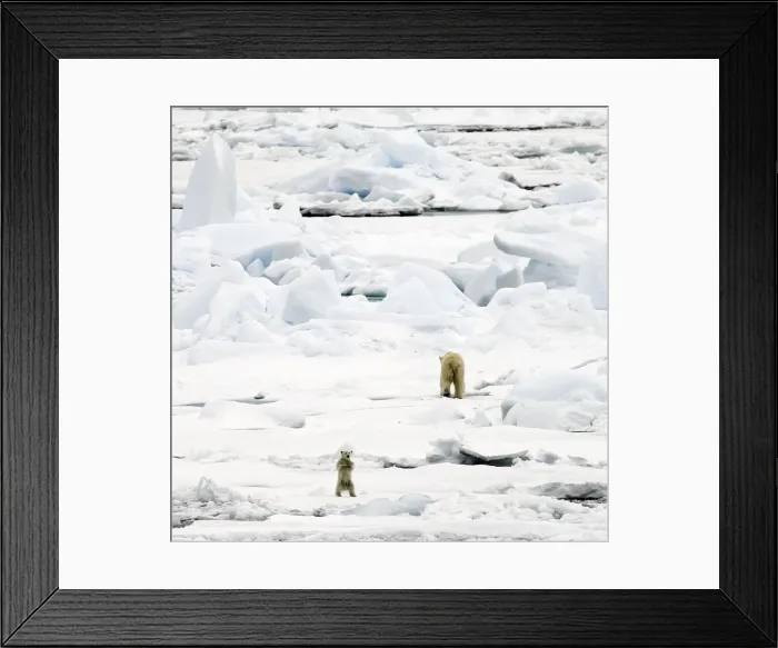 Framed Print : Picture No. 11675799 Framed Print : Picture No. 11675799