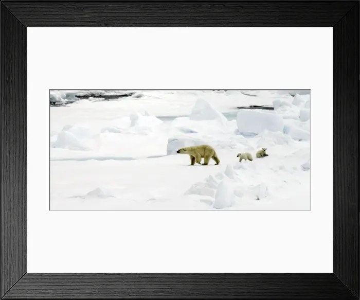 Framed Print : Picture No. 11675801 Framed Print : Picture No. 11675801