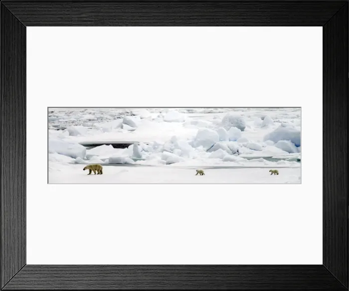 Framed Print : Picture No. 11675800 Framed Print : Picture No. 11675800