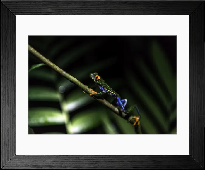 Framed Print : Picture No. 11675840 Framed Print : Picture No. 11675840