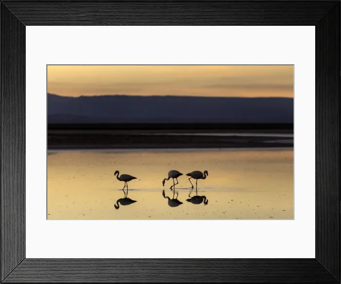 Framed Print : Picture No. 11675855 Framed Print : Picture No. 11675855