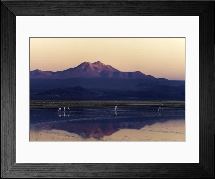 Framed Print : Picture No. 11675854 Framed Print : Picture No. 11675854