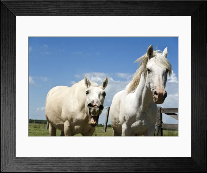 Framed Print : Picture No. 11675858 Framed Print : Picture No. 11675858