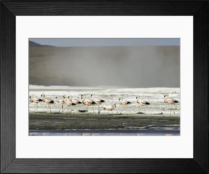 Framed Print : Picture No. 11675862 Framed Print : Picture No. 11675862