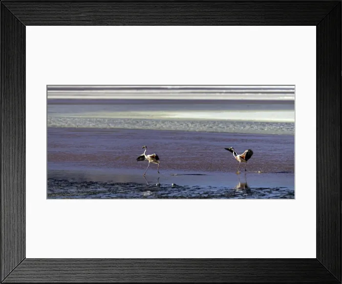 Framed Print : Picture No. 11675863 Framed Print : Picture No. 11675863