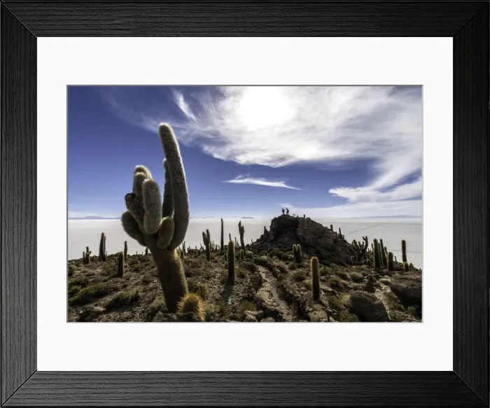 Framed Print : Picture No. 11675870 Framed Print : Picture No. 11675870