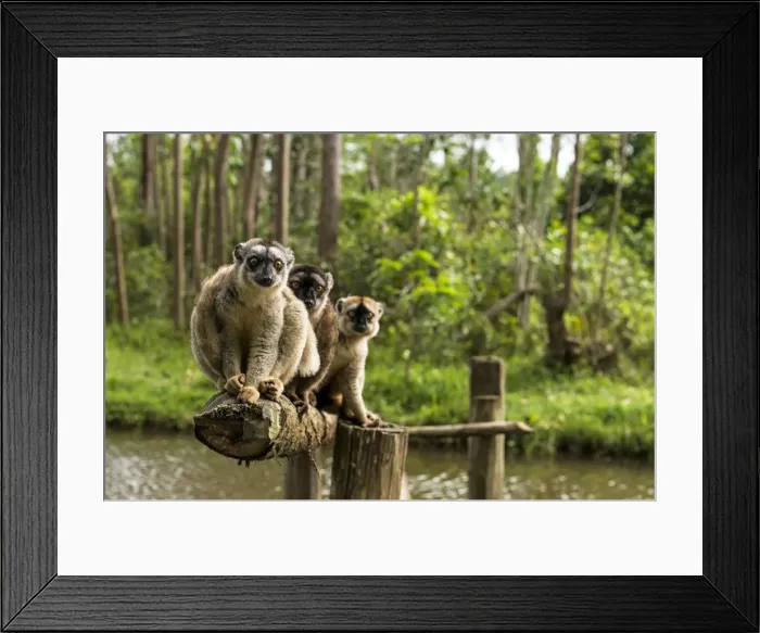 Framed Print : Picture No. 11675876 Framed Print : Picture No. 11675876