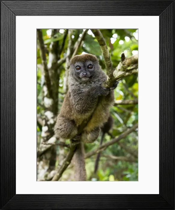 Framed Print : Picture No. 11675878 Framed Print : Picture No. 11675878
