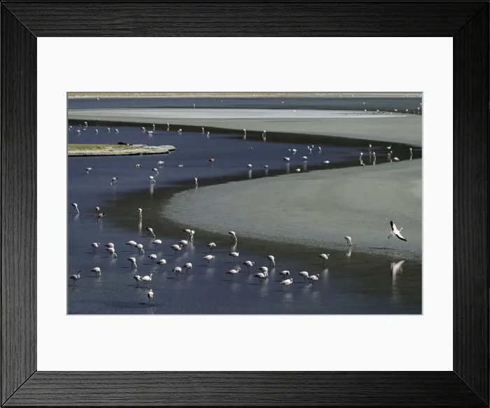 Framed Print : Picture No. 11675880 Framed Print : Picture No. 11675880