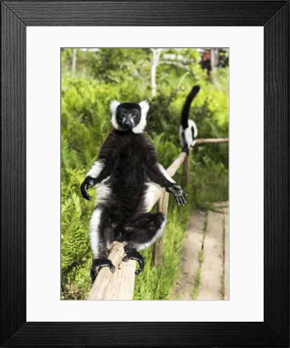Framed Print : Picture No. 11675881