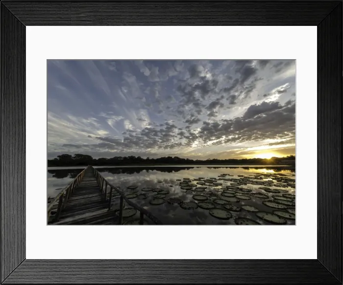 Framed Print : Picture No. 11675888 Framed Print : Picture No. 11675888