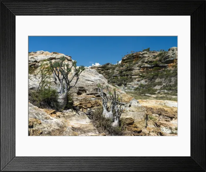 Framed Print : Picture No. 11675893 Framed Print : Picture No. 11675893