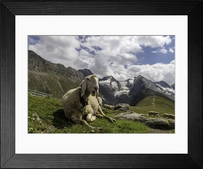 Framed Print : Picture No. 11675899 Framed Print : Picture No. 11675899