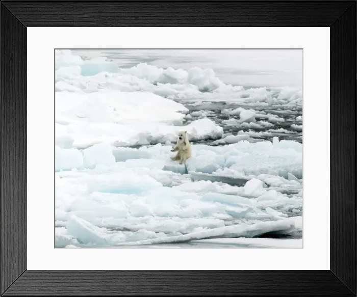 Framed Print : Picture No. 11675916 Framed Print : Picture No. 11675916
