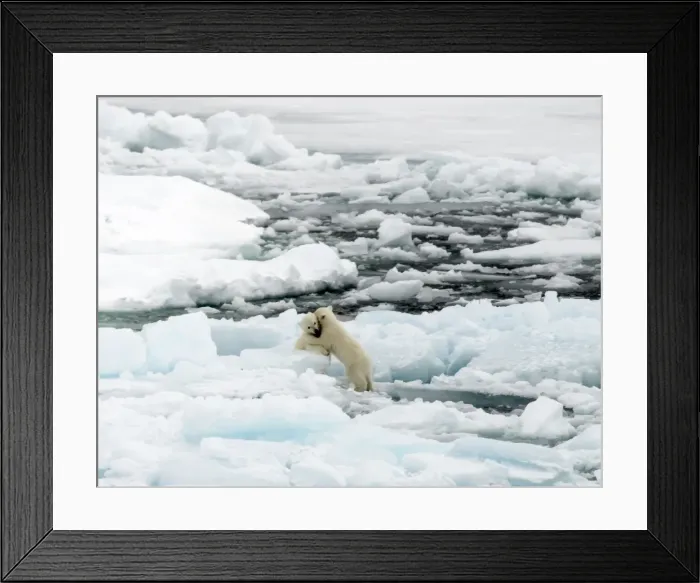Framed Print : Picture No. 11675917 Framed Print : Picture No. 11675917