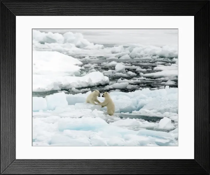 Framed Print : Picture No. 11675920 Framed Print : Picture No. 11675920