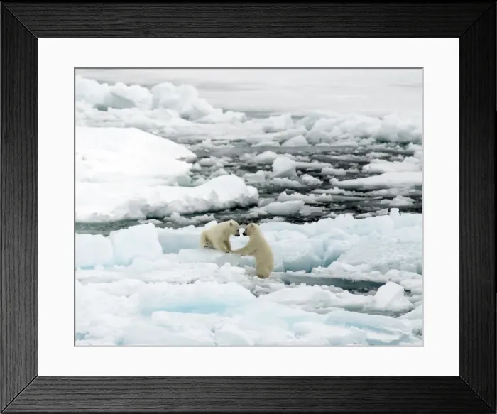 Framed Print : Picture No. 11675921 Framed Print : Picture No. 11675921