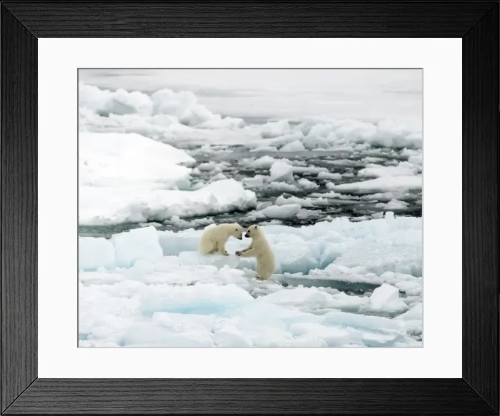 Framed Print : Picture No. 11675922 Framed Print : Picture No. 11675922
