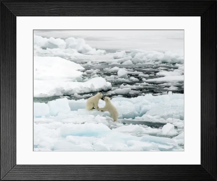 Framed Print : Picture No. 11675924 Framed Print : Picture No. 11675924