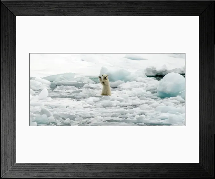 Framed Print : Picture No. 11675933 Framed Print : Picture No. 11675933