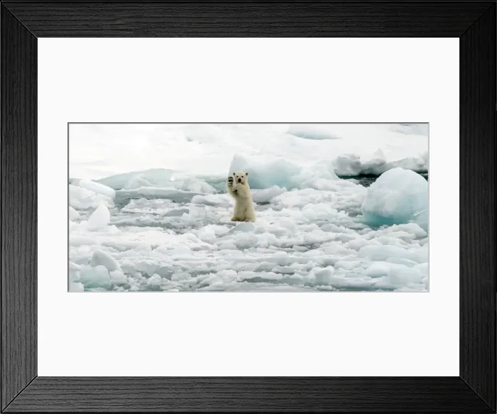 Framed Print : Picture No. 11675936 Framed Print : Picture No. 11675936