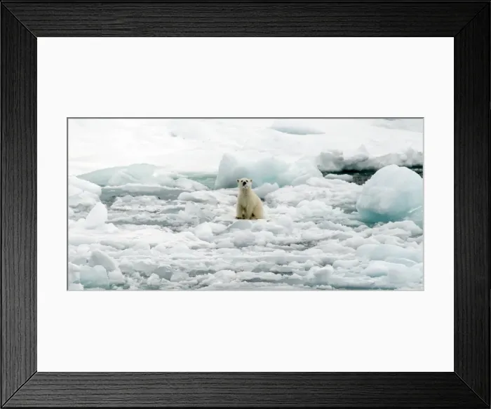 Framed Print : Picture No. 11675938 Framed Print : Picture No. 11675938