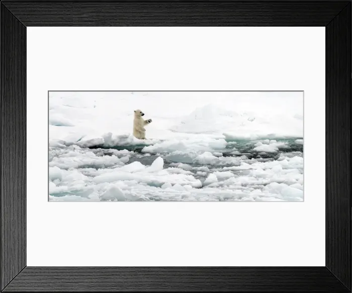 Framed Print : Picture No. 11675940 Framed Print : Picture No. 11675940
