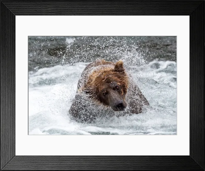 Framed Print : Picture No. 11676426 Framed Print : Picture No. 11676426