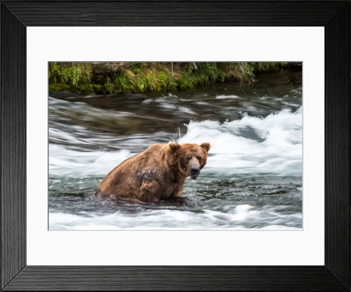 Framed Print : Picture No. 11676425 Framed Print : Picture No. 11676425