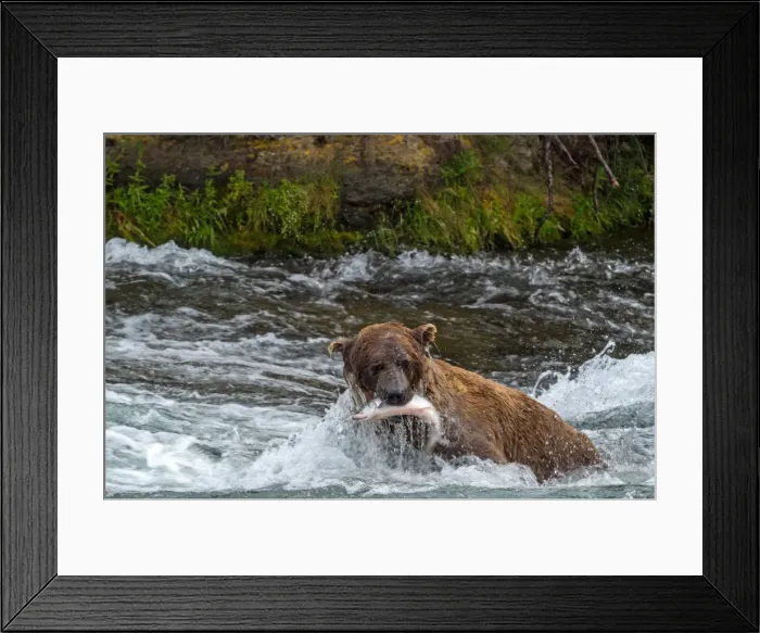 Framed Print : Picture No. 11676430 Framed Print : Picture No. 11676430